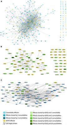 In silico evaluation of the role of lisdexamfetamine on attention-deficit/hyperactivity disorder common psychiatric comorbidities: mechanistic insights on binge eating disorder and depression